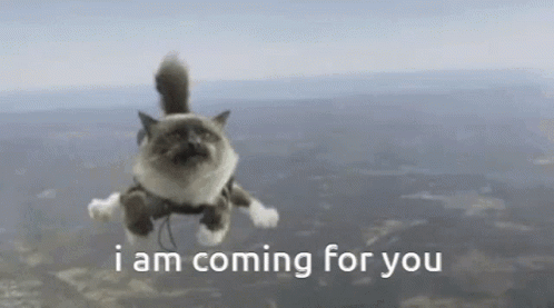 Flying Cat Saying I Am Coming For You GIF