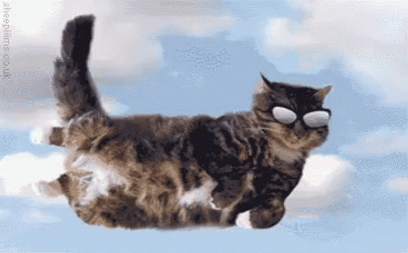 Flying Cat Wearing Cool Shades GIF