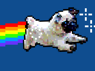 Flying Dog Like Neon Cat GIF