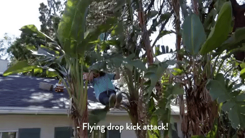 Flying Drop Kick Attack Hanging On Banana Leaves GIF