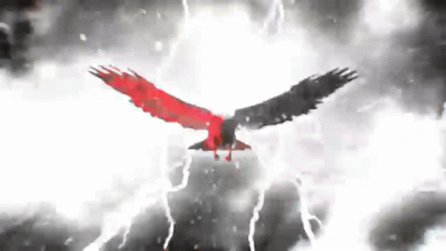 Flying Eagle Lightning Storm GIF