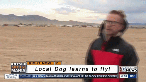 Flying Funny Dog Meme GIF