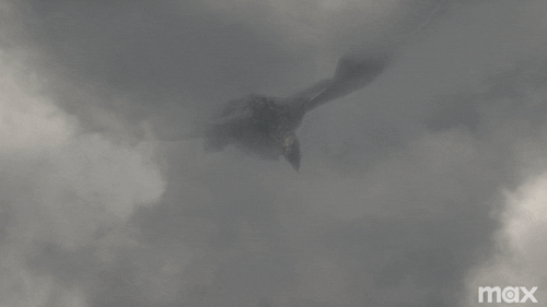 Flying House Vhagar Dragon GIF