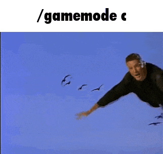 Flying Man Minecraft Gif GIF