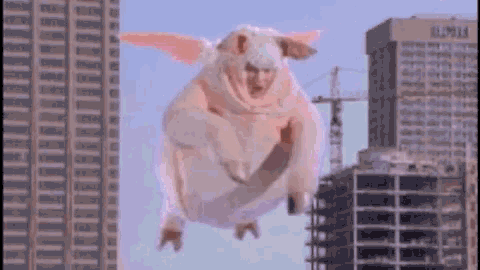Flying Pig Gif GIF