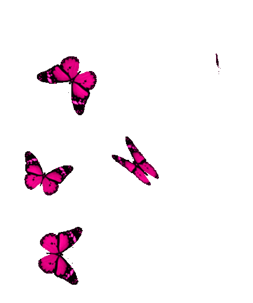 Flying Pink Butterfly Stickers GIF