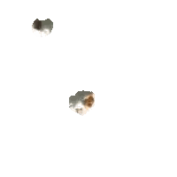 Flying Popcorn Pieces