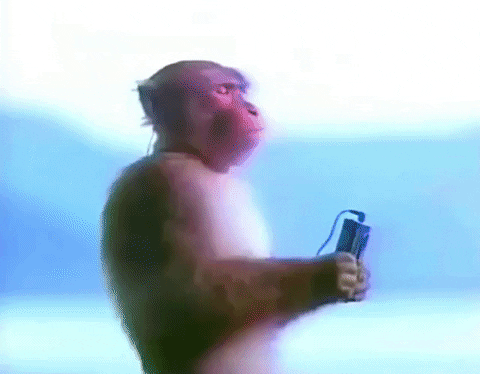 Focus Monkey Listening To Music GIF