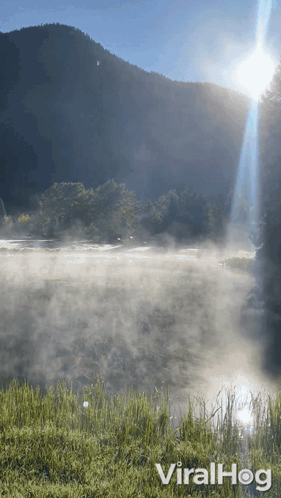 Foggy Lake With Viralhog