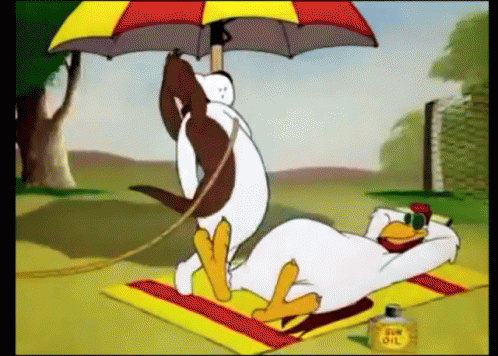 Barnyard Dawg Pouring Water On Foghorn Leghorn GIF