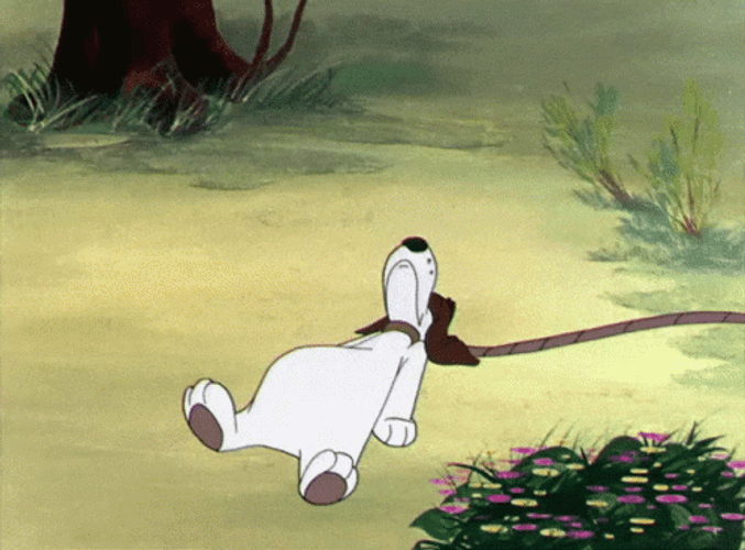 Foghorn Leghorn Hitting Sleeping Barnyard Dawg GIF