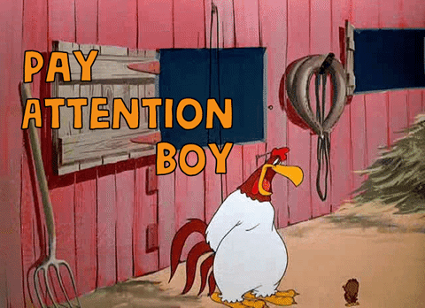 Foghorn Sheriff Leghorn Rooster Giffer GIF