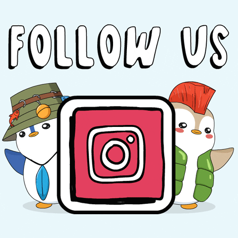 Follow Us Up On Our Every Platform Accounts GIF