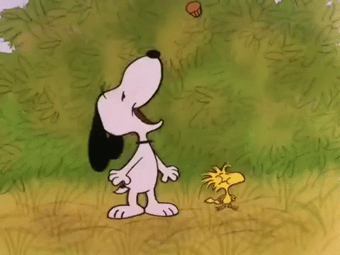 Food Cached Peanuts Snoopy Thanksgiving GIF