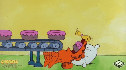 Food Coma Garfield Sugar Rush GIF
