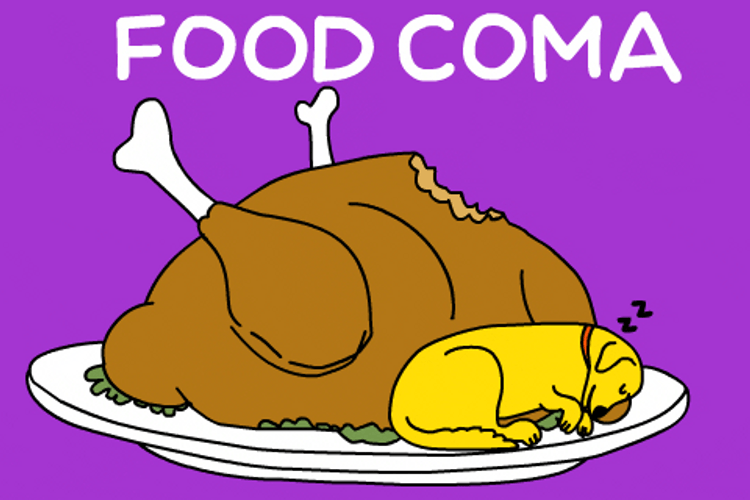 Food Coma Thanksgiving Turkey GIF