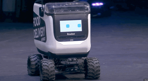 Food Delivery Robot Winky Face GIF