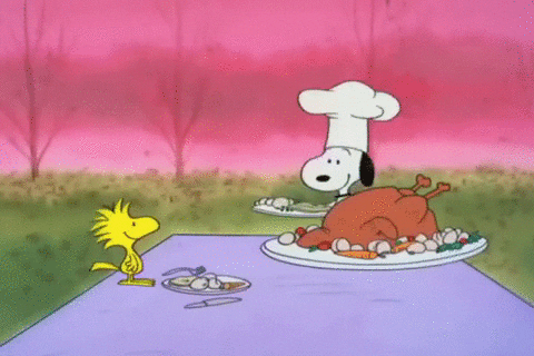 Food Served Peanuts Snoopy Thanksgiving GIF