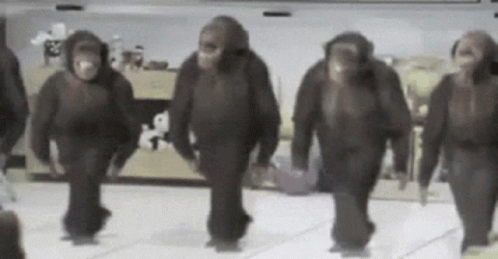 Foot Work Gorilla Dancing GIF
