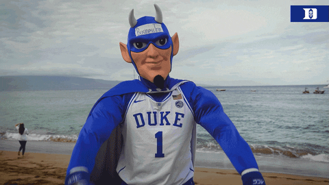 Football Duke 1 Mascot Number 1 Hawaii GIF