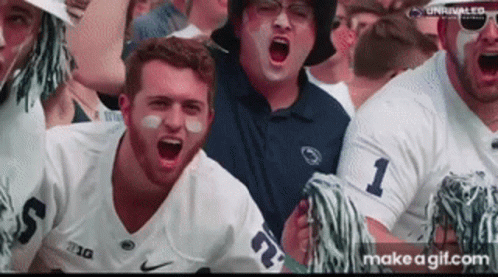 Football Fans Screaming in Stands