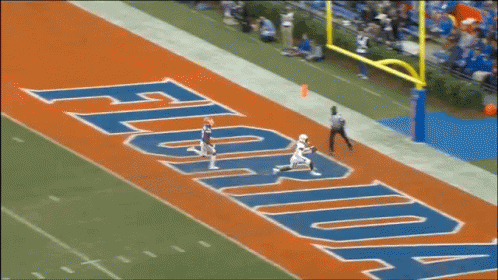 Football Field With Florida on the Side