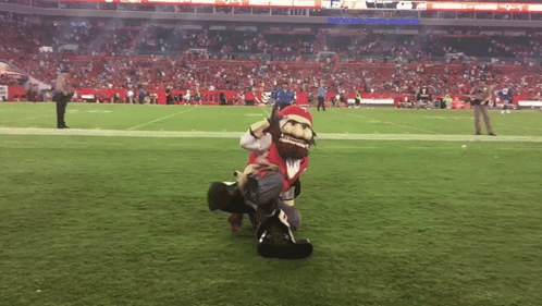 Football Field With Number 20 On Sidelines GIF