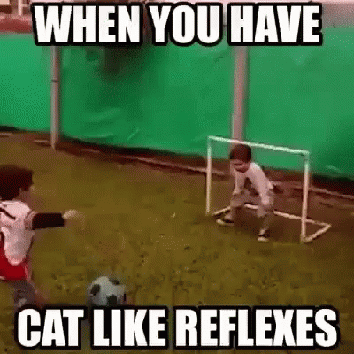 Football Funny When You Have Cat Like Reflexes GIF