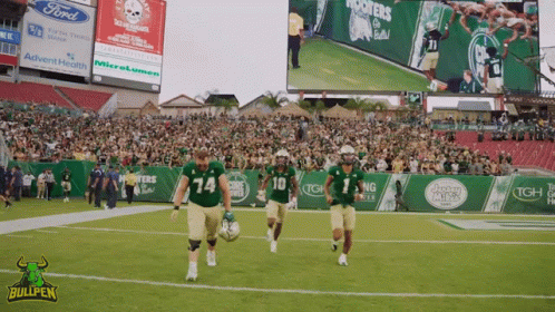 Football Game in Ford Stadium