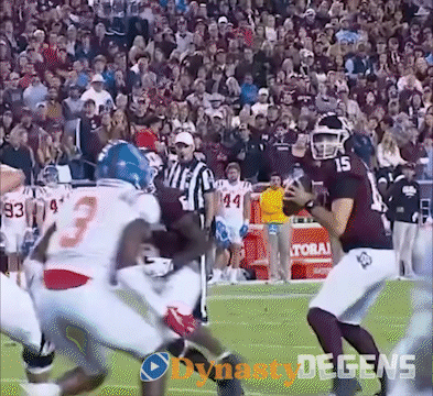 Football Game In Front Of Crowd Dynasty Degens GIF
