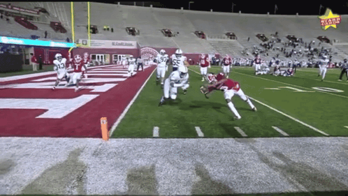 Football Game In Stadium With Star GIF