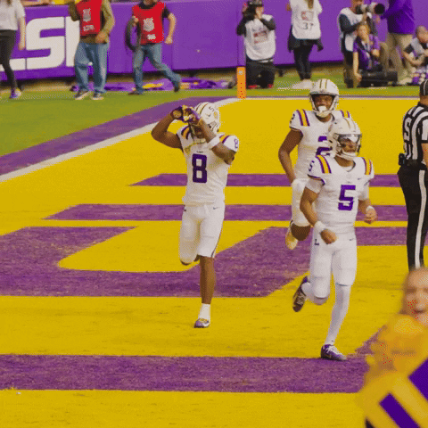 Football Game Louisiana State College GIF
