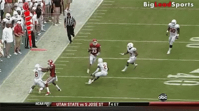 Football Game With Referee Walking on Field