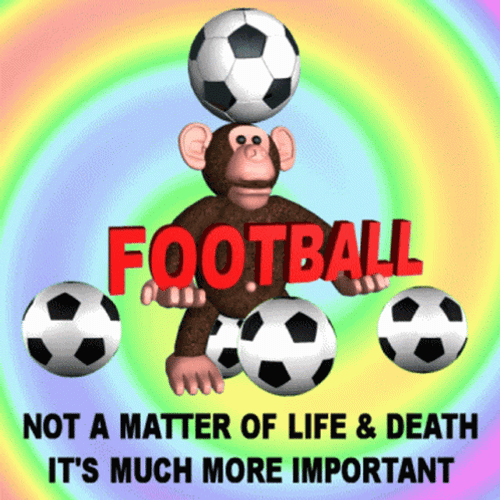 Football Is Important GIF