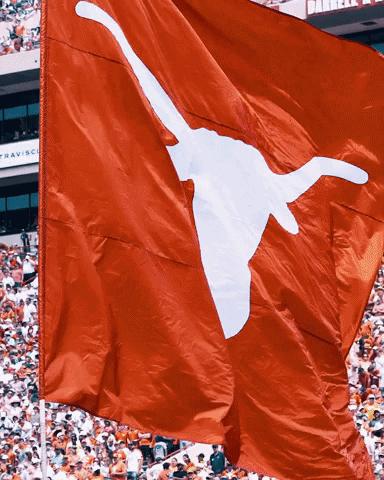 Football Medieval Texas Longhorns GIF