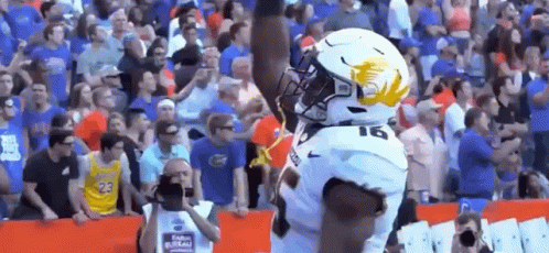 Football Player Celebrating Touchdown in Front of Fans