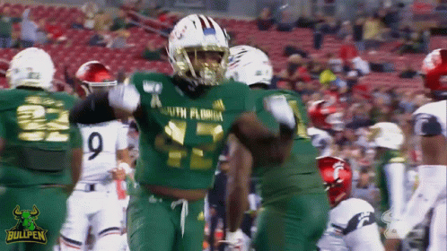 Football Player in Green Jersey Number 15