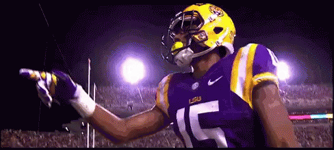 Football Player in Purple and Yellow Uniform Number 15