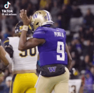 Football Player In Purple Jersey Number 9 GIF