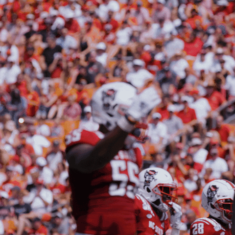 Football Player In Red Uniform Number 55 GIF