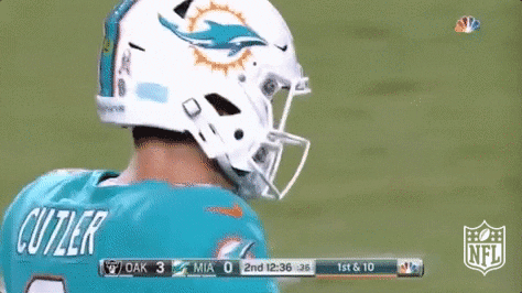 Football Player Jay Cutler Don T Care GIF