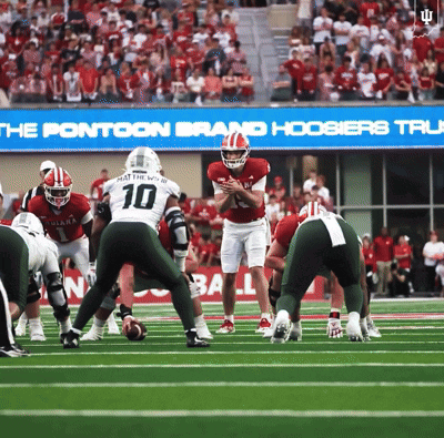Football Player Number 10 Preparing To Throw Ball GIF