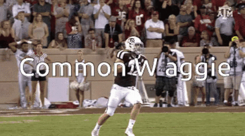 Football Player Running With Common Waggie