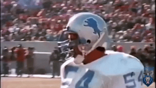 Football Player Wearing Dolphin Helmet