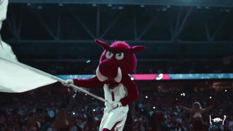 Football Players Rise And Shine In Hawaii GIF
