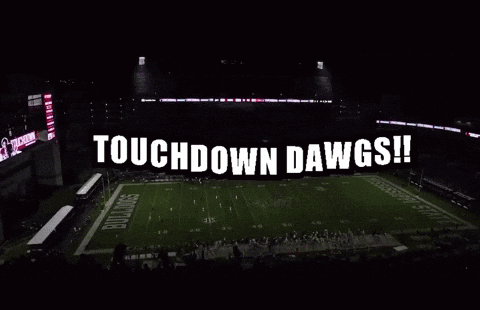 Football Stadium Saying Touchdown Dawgs