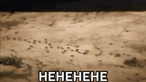 Footprints In The Sand With The Word Henehene Written Above Them GIF