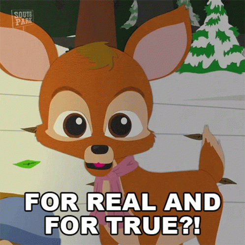 Woodland Critter For Real And For True GIF