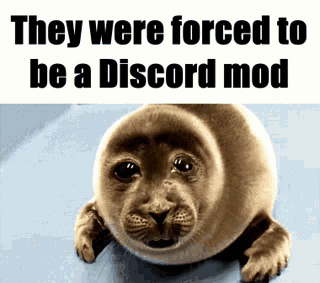 Forced Discord Mod GIF