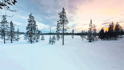 Forest Aesthetic Winter Snow GIF